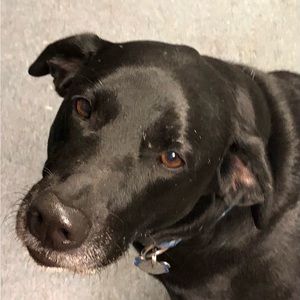 Meet your Posher, Jane